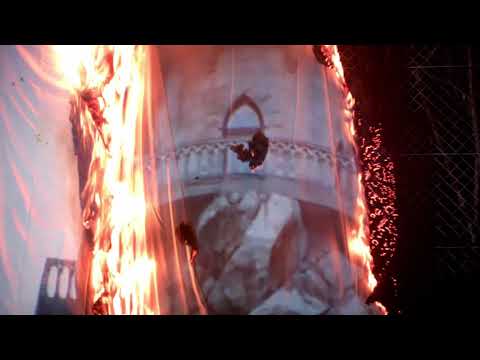 Worms Prestige Beluga Whale Tears For Crimea