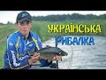 Українська рибалка.Ловля коропа класичиним фідером.