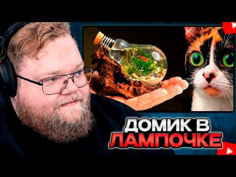 T2x2 СМОТРИТ: Я СДЕЛАЛ ВОДНЫЙ ТЕРРАРИУМ С ЖИВОТНЫМ В ЛАМПОЧКЕ