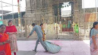 My Tirupavada Seva Darshan Today | Live Updates