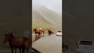 Bharosa Pyar Tera Song