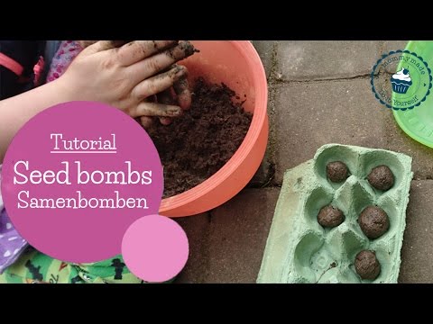 Video: Samenbällchen mit Kindern herstellen: Wie man Blumensamenbällchen herstellt
