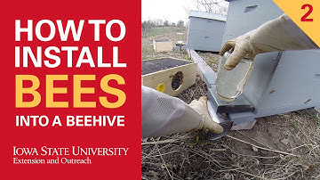 How to Install Bees Into a Beehive Part 2