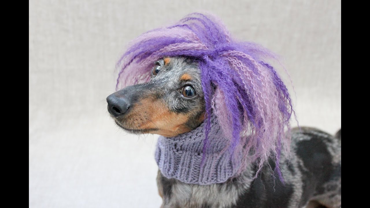 How To Brush Out A Yarn Wig Youtube Dog Hat Knitting Patterns Pom Dog
