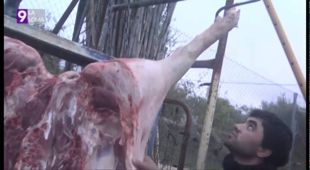 Matanza tradicional en Sabiote
