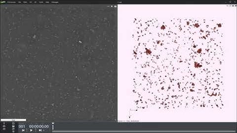 Multi-layer E. coli bacteria