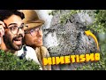 Animali INVISIBILI! | Lo Zoo di Dario e Willy (ft. ZooSparkle)