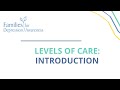 Introduction to the levels of care in depression treatment