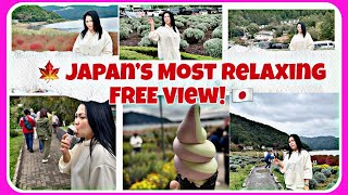 Download Lagu Libre ‘to?🤩 Stunning View of Mt. Fuji at Oishi Park 🇯🇵 Even on a Rainy Day#MtFuji #TravelJapan#Japan MP3 Download Lagu Libre ‘to?🤩 Stunning View of Mt. Fuji at Oishi Park 🇯🇵 Even on a Rainy Day#MtFuji #TravelJapan#Japan MP3
