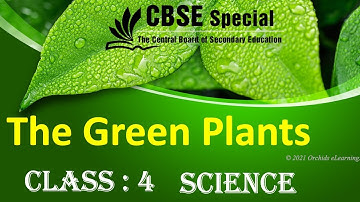 Class 4  || SCIENCE  || The Green Plants  || NCERT | CBSE Syllabus || Photosynthesis