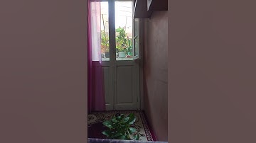 ١١٢ - إن الذين كفروا بآيات الله لهم عذاب شديد والله عزيز ذو انتقام.