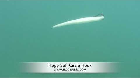 Hogy Soft Circle Hook - Underwater Fish-Eye View