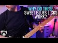 Why these 5 sweet blues licks work   play like john mayer  bb king