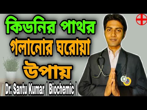 ভিডিও: বিড়ালদের কিডনি ডায়েট: কী সন্ধান করতে হবে