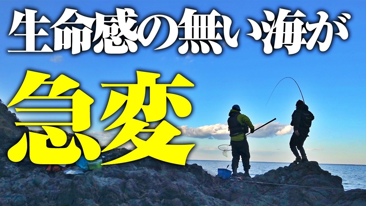大物は突然に。高評価で話題の釣りエサを海に撒いてみたら…とんでもないフィーバーが訪れる