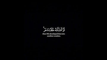﴿ ولقد خلقنا ٱلإنسـٰن من سلـٰلة من طین ﴾ ١٢ إلى ١٤ | سورة المؤمنون | ياسر الدوسري | شاشة سوداء |