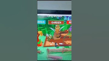 Bug Mở Pet Queen Bee Trong Grow A Garden #roblox #bloxfruit