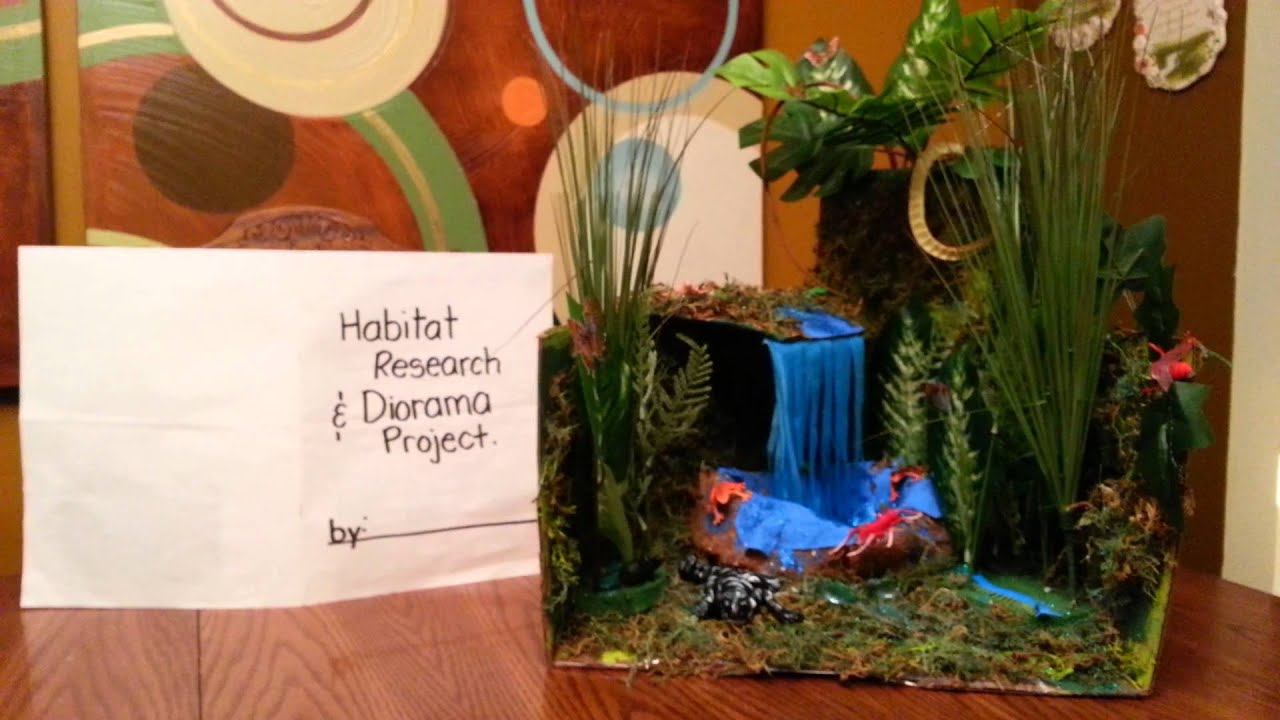Habitat and Diorama Project - YouTube