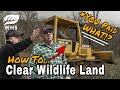 Wildlife land clearing tips