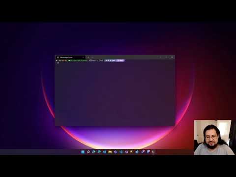 .NET 6: Minimal APIs & Carter (Parte 2)