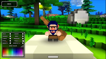 Cube World Character Creation