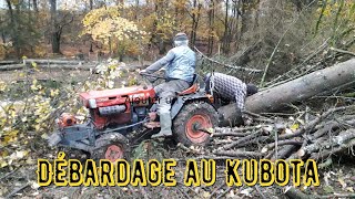 Débardage au Kubota