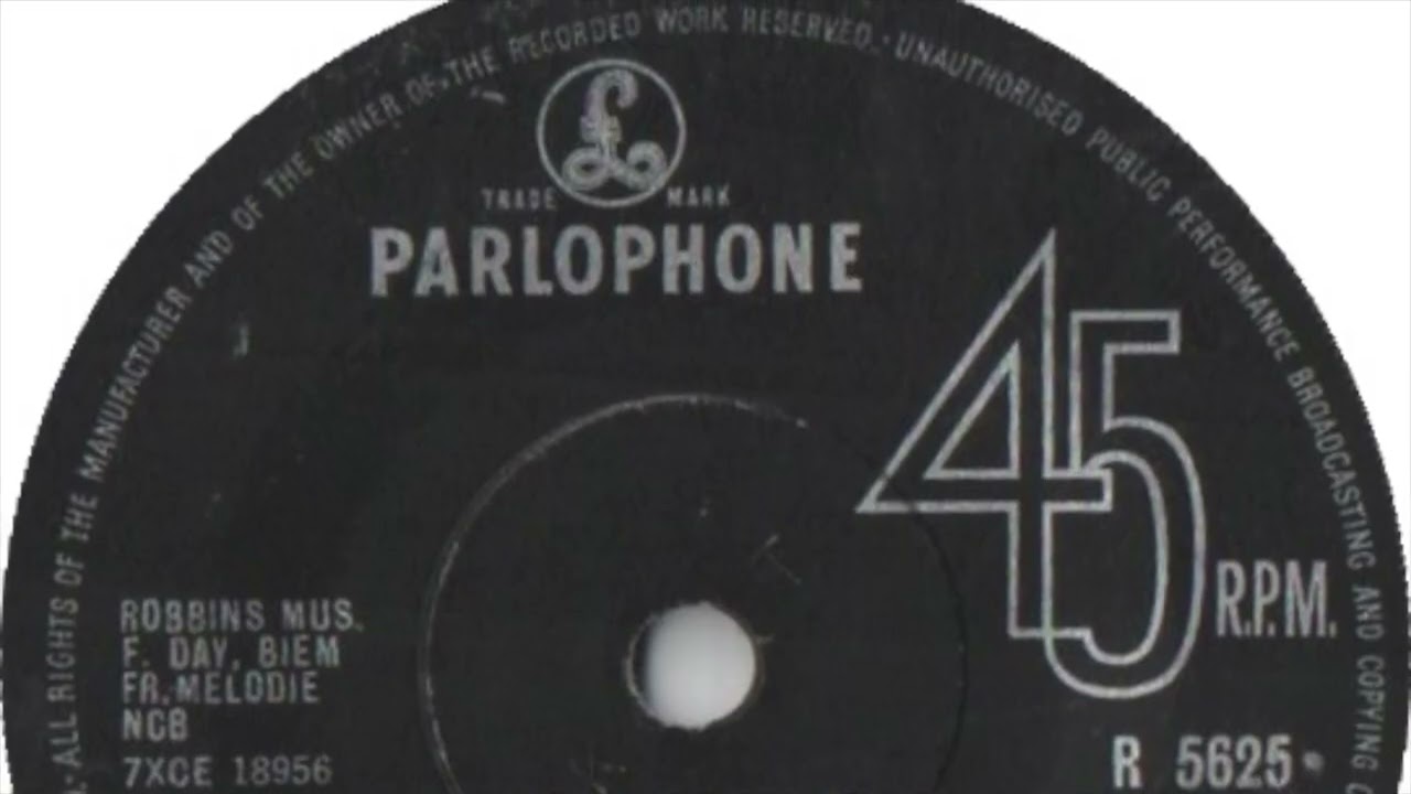 Steve Flynn - Mr. Rainbow