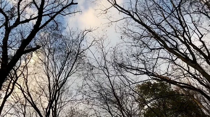 The Road Not Taken- Robert Frost