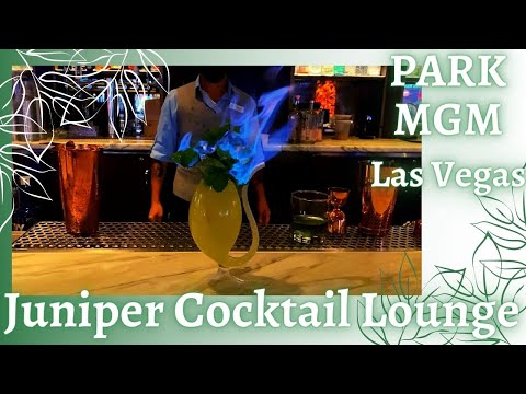 Video: Varför Juniper Cocktail Lounge Har Den Största Gin-samlingen I Las Vegas