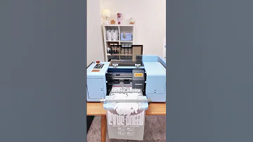 Small Business Desktop DTF Printer Kit Shorts 