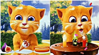 Talking ginger | bathing fun | food fun | enjoyment | talkingcat | talkingtom |