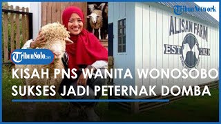 Kisah PNS Wanita di Wonosobo Sukses Jadi Peternak Domba