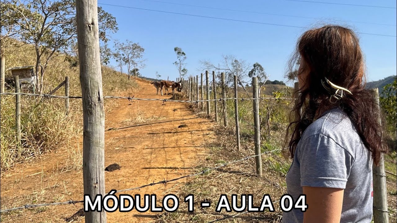 Animais da fazenda: cuidados básicos