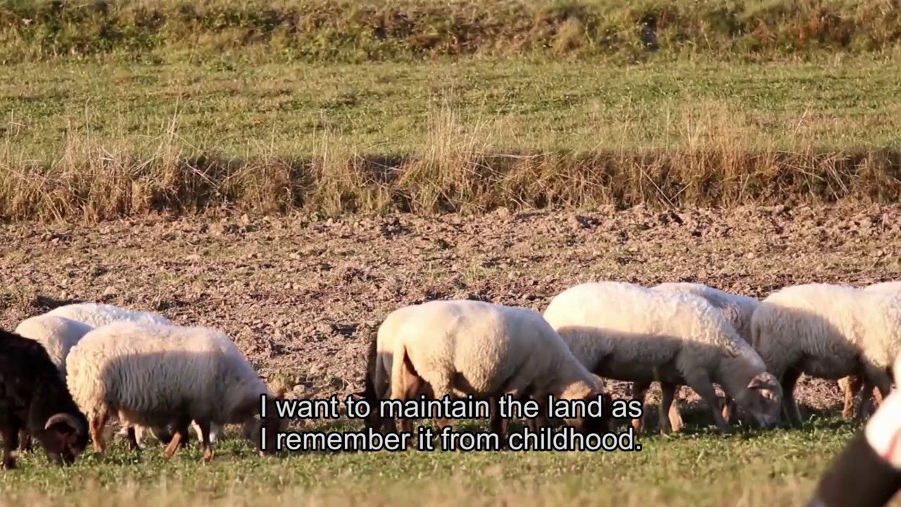 Cena SR za krajinu - Mesto Hriňová