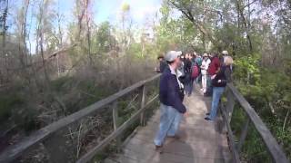 magee marsh point of view v 2