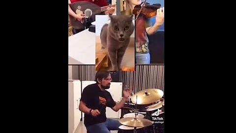 Luga Luga Cat TikTok Chain but its actually good lol 1080pFHR