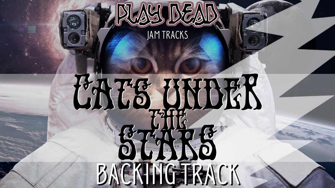 Cats Under the Stars Backing Track Jerry Garcia Band Play