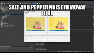 Salt and Pepper Ruisverwijderingstool voor datastructuren en algoritmen