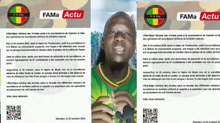 Les teros teros fuient partout au Mali