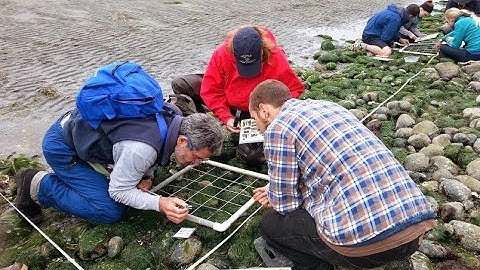 2023 Intertidal Monitoring Refresher Training