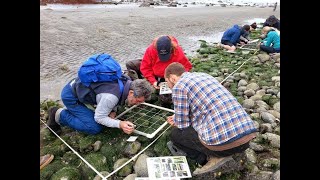 2023 Intertidal Monitoring Refresher Training