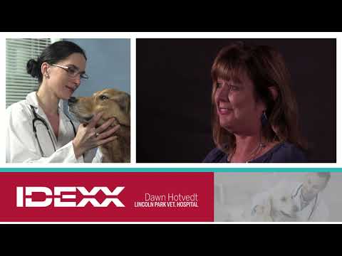 Integrated Payments with IDEXX and OpenEdge Help Vet Clinics