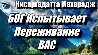 Наблюдая За Умом, Вы Обнаружите Своё Я В Качестве Наблюдателя. Нисаргадатта Махарадж #Просветление