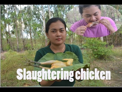 Beautiful lady cook Chicken slaughtering with best recipe