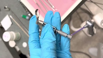 2022 Amalgam Procedure