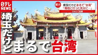 埼玉だけど“まるで台湾”！？「現地に行った気分に…」日帰りバスツアー（2021年4月14日放送「news every.」より）