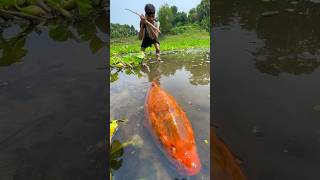 Amazing Fishing In River #bigfish #fishing #shorts