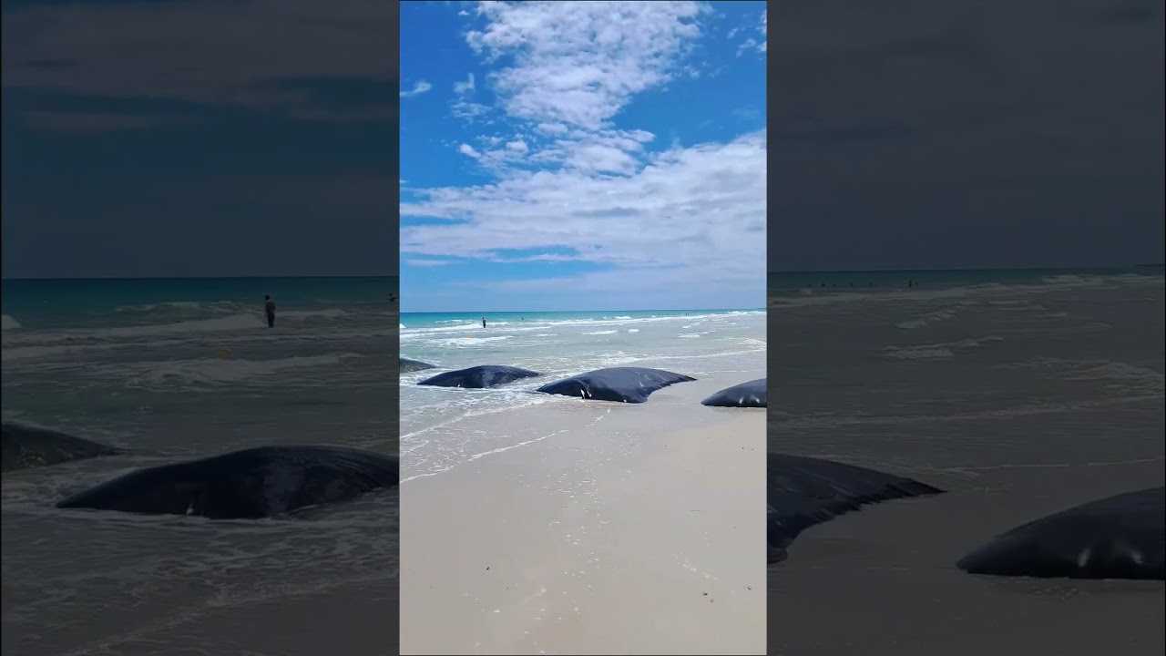 TUNEZJA, DJERBA, RADISSON BLU - 17 05 2025