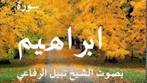 سورة ابراهيم بصوت الشيخ / نبيل الرفاعي 14