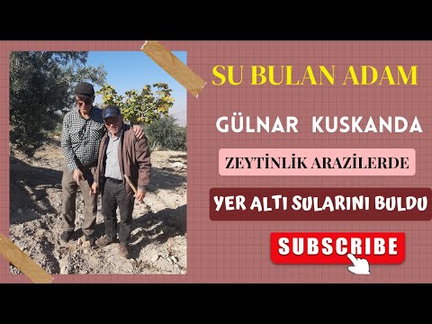 SU BULAN ADAM ZEYTİNLİK ARAZİDE SUYU BULDU #subulanadam #yeraltısularınıbulanadam